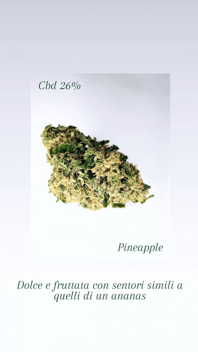 Pineapple 1Gr