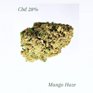 Mango Haze 1Gr