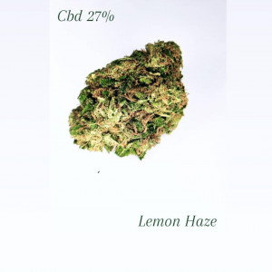 Lemon Haze 1Gr