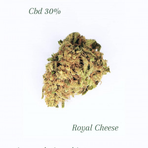Royal Cheese 1Gr
