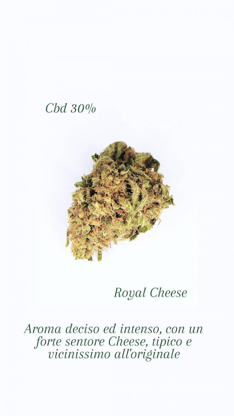 Royal Cheese 1Gr