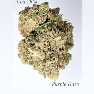 Purple Haze 1Gr