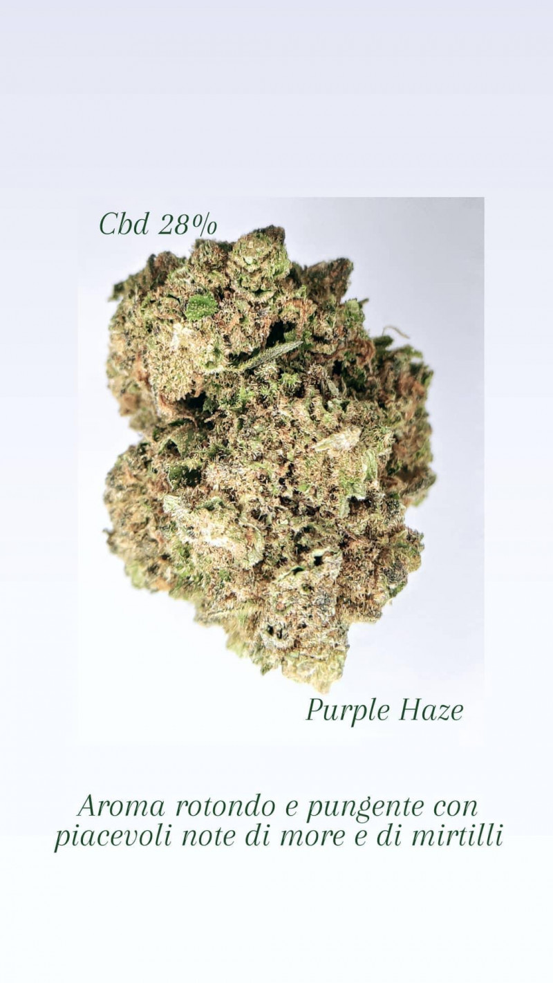 Purple Haze 1Gr