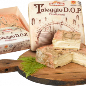 Taleggio D.O.P. Piccoli Piaceri