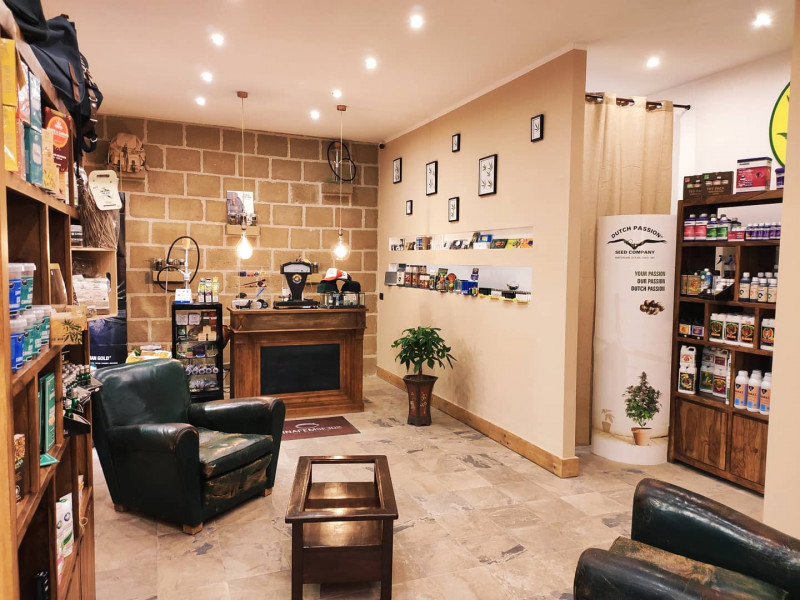 Canapa House
